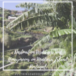 Honeymoon on Madeira Island, Destination Weddings and Honeymoons on Madeira Island, Portugal.