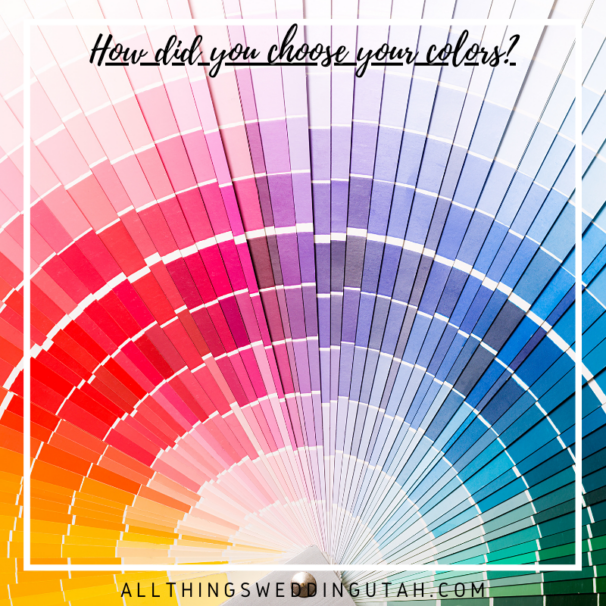 How did you choose your colors?