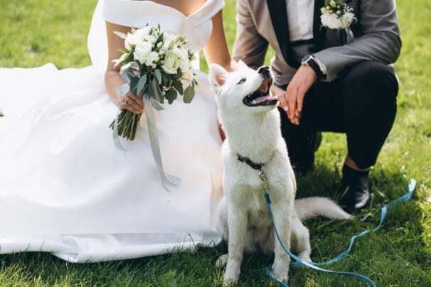 Heartwarming Ways to Include Your Pet in Your Wedding Celebration