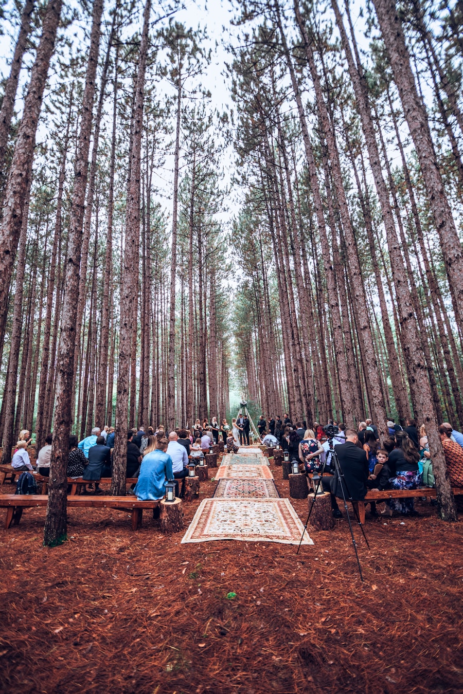 , Exchanging Vows at Thorncrown Chapel: A Perfect Wedding Venue